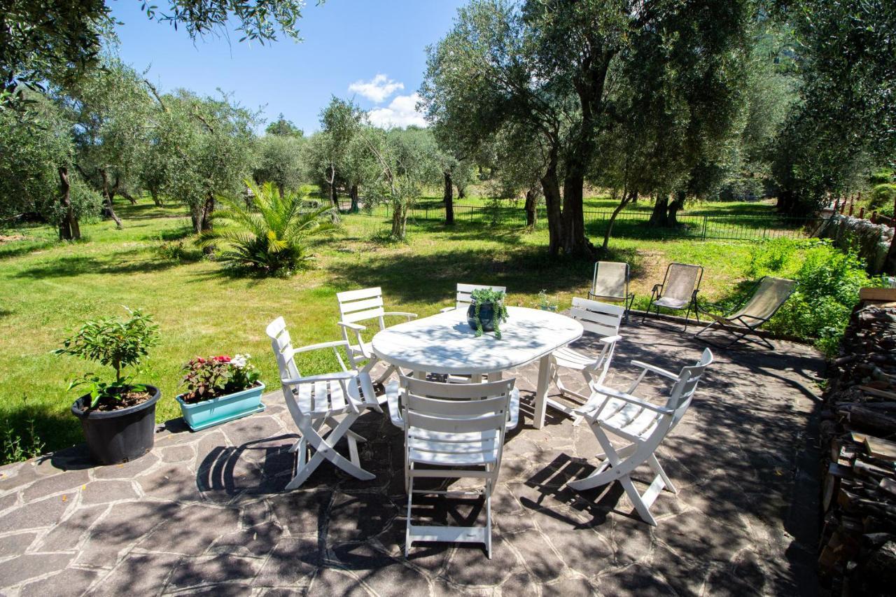 Villa Diana - Terrazza Sul Lago Ассенца-ді-Брензоне Екстер'єр фото
